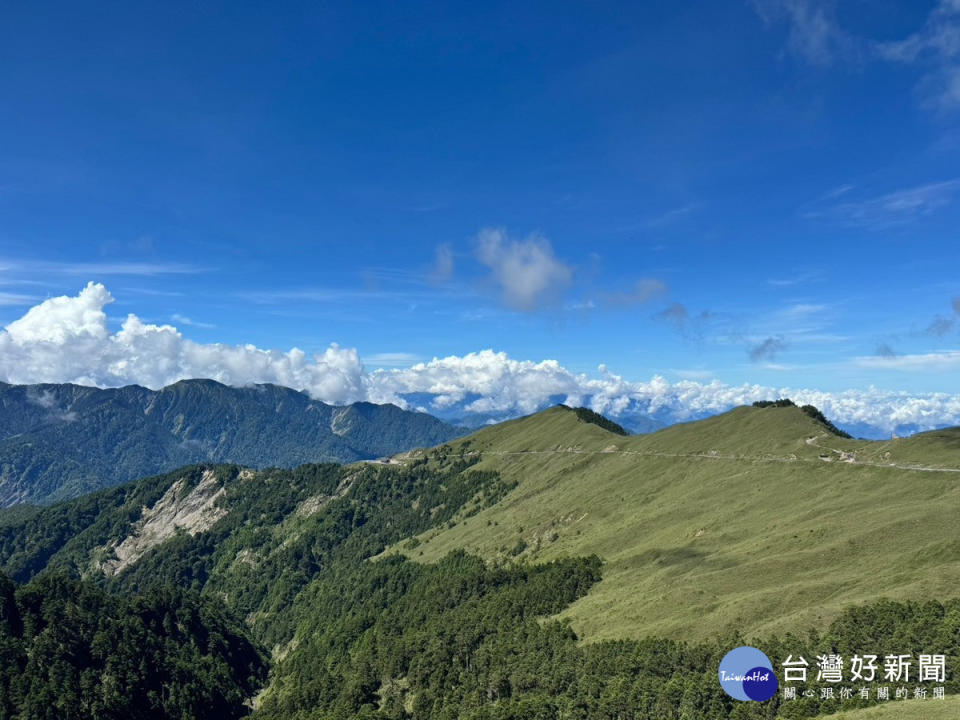 臺14甲線&冷杉與玉山箭竹。（圖/林業及自然保育署南投分署）