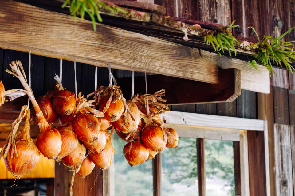 onions hanging to dry