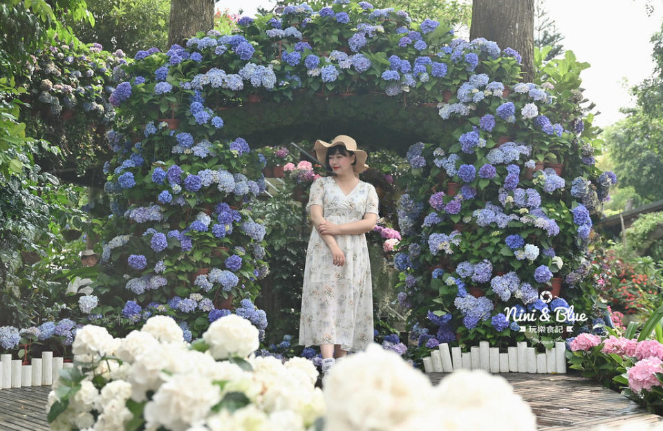 苗栗卓蘭｜花露農場