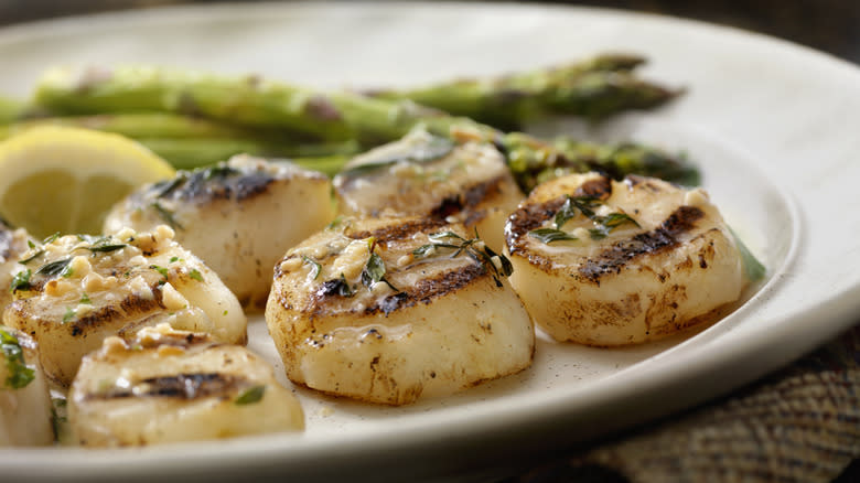 grilled scallops on white plate with asparagus