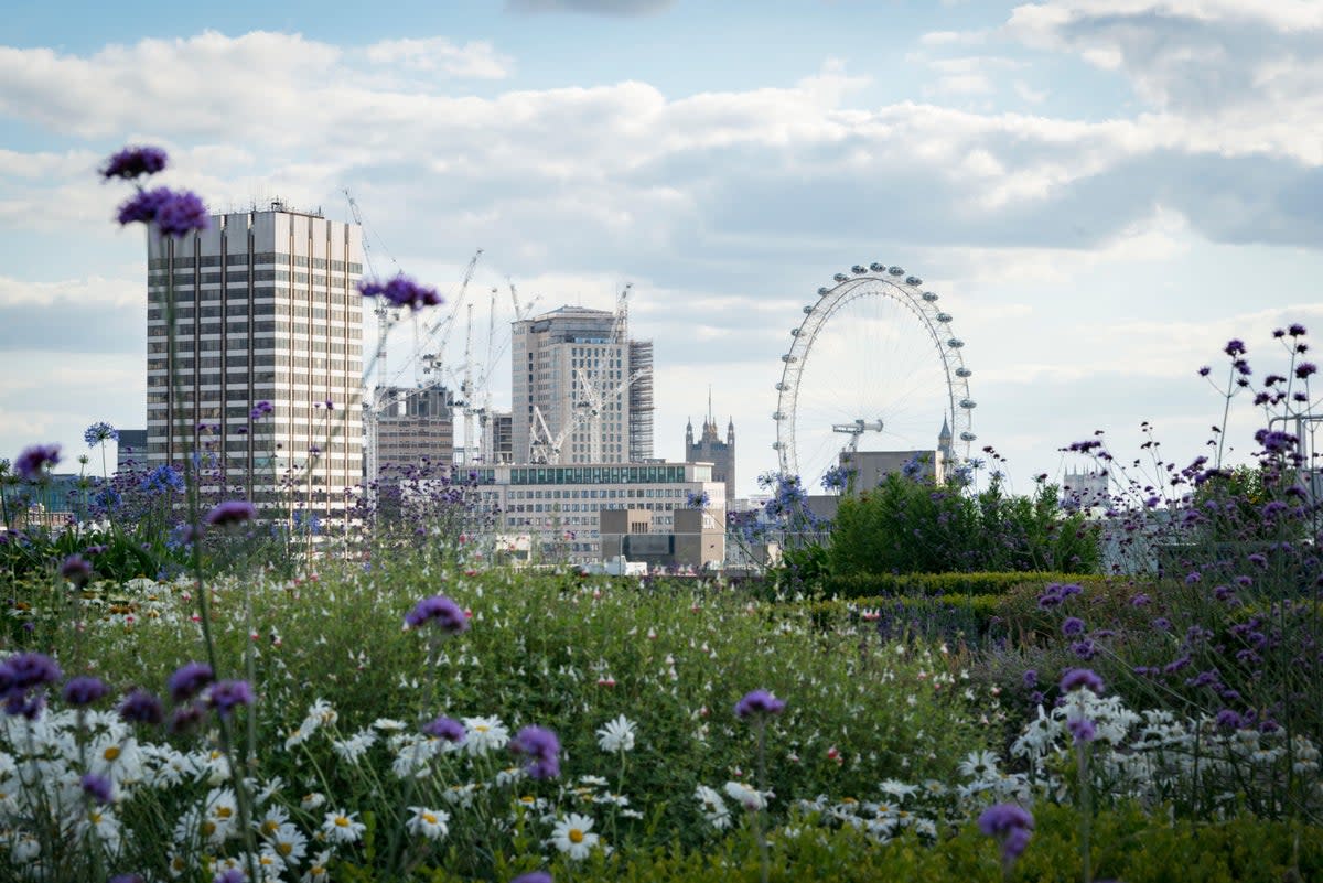 A roof garden overlooking the River Thames  (Alamy Stock Photo)