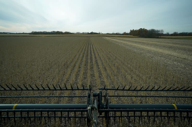 FILE PHOTO: Soybeans are harvested from a field on Hodgen Farm in Roachdale