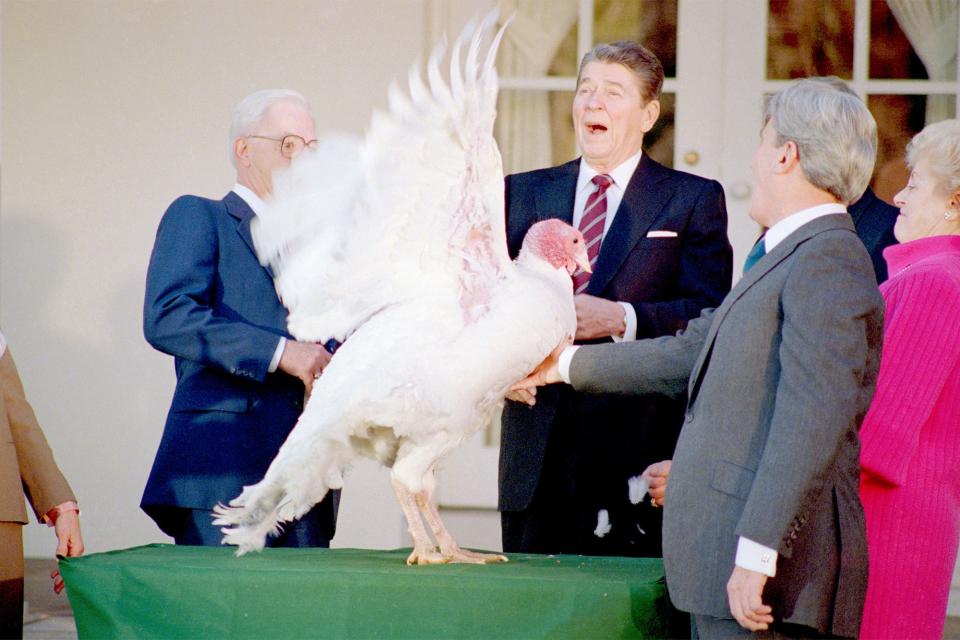 Ronald Reagan, 1987