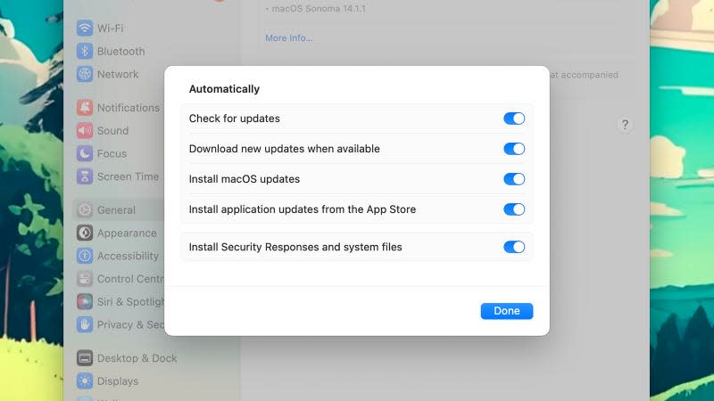 Turn automatic updates on. - Screenshot: macOS