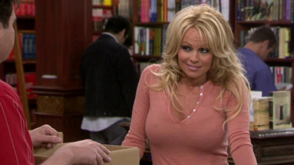 <p> Fed up with her party girl reputation and long streak of horrible ex-boyfriends, a woman (Pamela Anderson) aspires to reinvent herself by pursuing a job at a small, family-run bookstore, much to the chagrin of some of its more cynical, mild-mannered employees. </p> <p> <strong>Why it’s worth checking out if you like Pamela Anderson:</strong> In 2005, Pamela Anderson made her return to the lead position of a TV series with her role in <em>Stacked</em> - a short-lived, but well-liked, Emmy-nominated sitcom from <em>Just Shoot Me!</em> creator Steve Levitan - which also stars <em>Back to the Future</em> cast member and sitcom veteran Christopher Lloyd. </p>