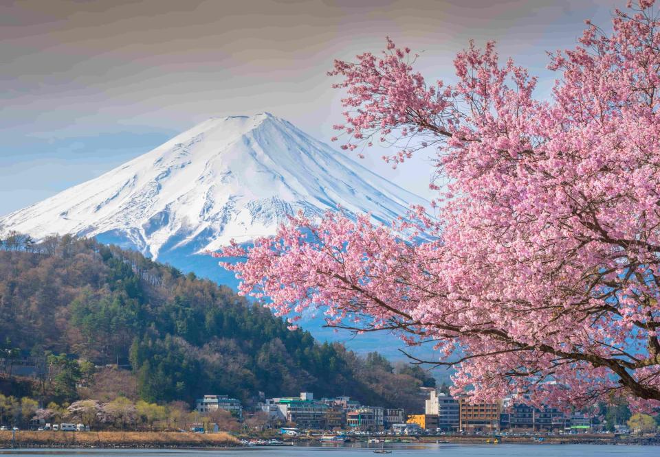 易飛網限時12期分期活動推日本花見行程，走訪四大賞櫻名所及富士山合掌村，月付2,158元起。