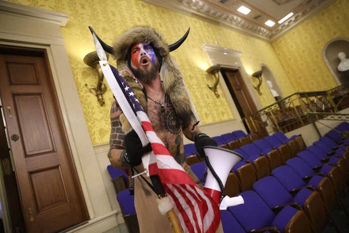 Capitol insurrectionist with American flag and a fur and horns hat