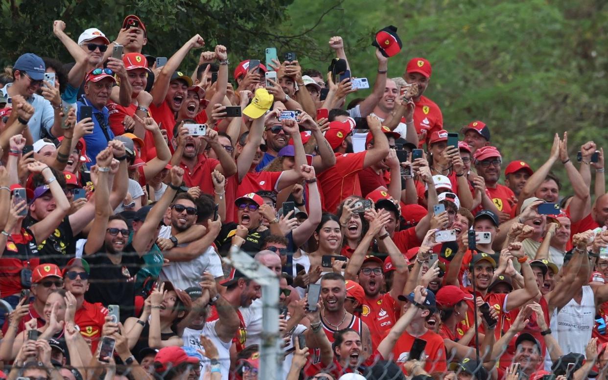 The Ferrari fans explode with happiness