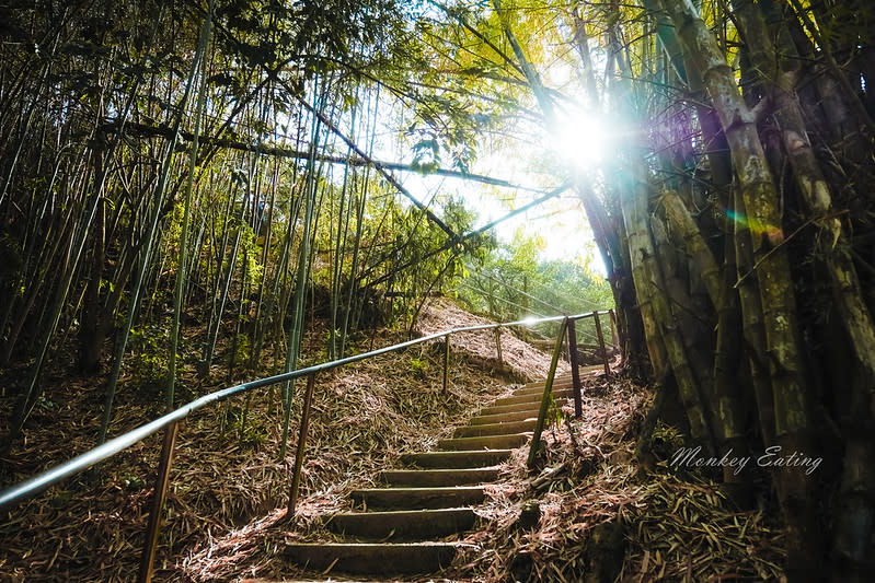 台中豐原｜三崁頂健康步道