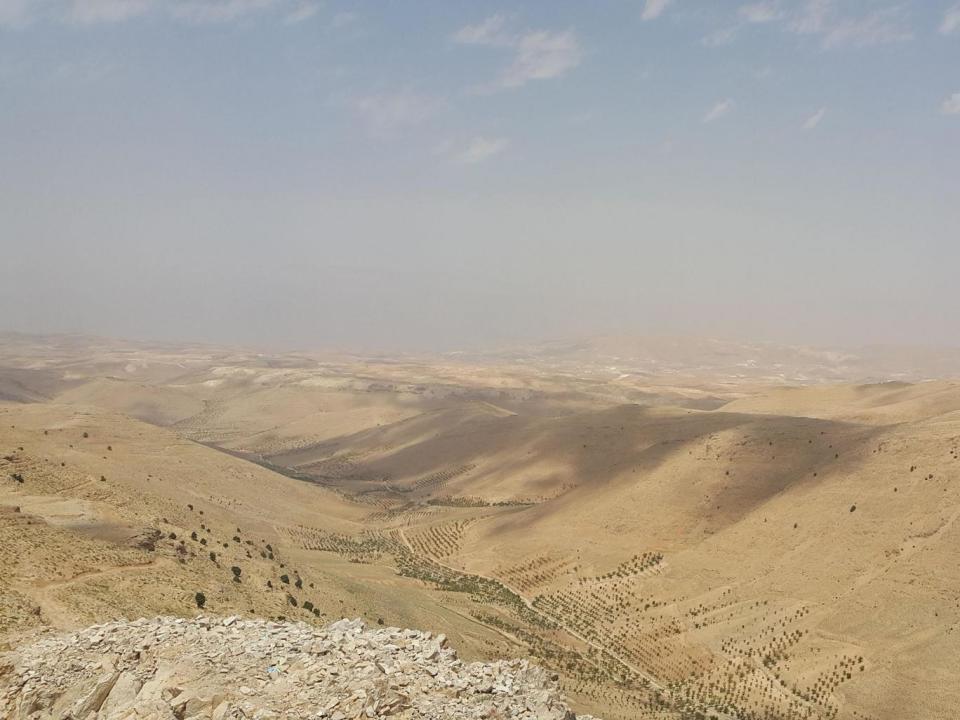 The narrow frontier road in the valley marks the border between Syria (left) and Lebanon (right of the road) in the Qalamoun battlefield (Nelofer Pazira)