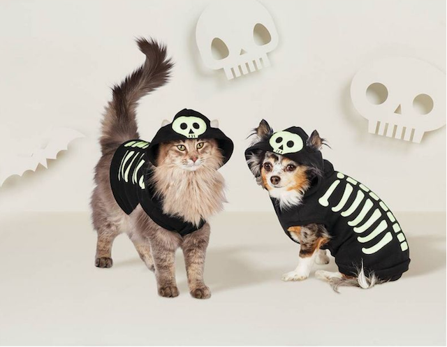 Target Is Selling The Cutest Pet Halloween Costumes We ve Ever