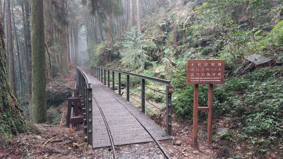 特富野古道沿途保有部份舊鐵道枕木鐵軌與鐵道棧橋（圖片來源：農業部林業及自然保育署嘉義分署）