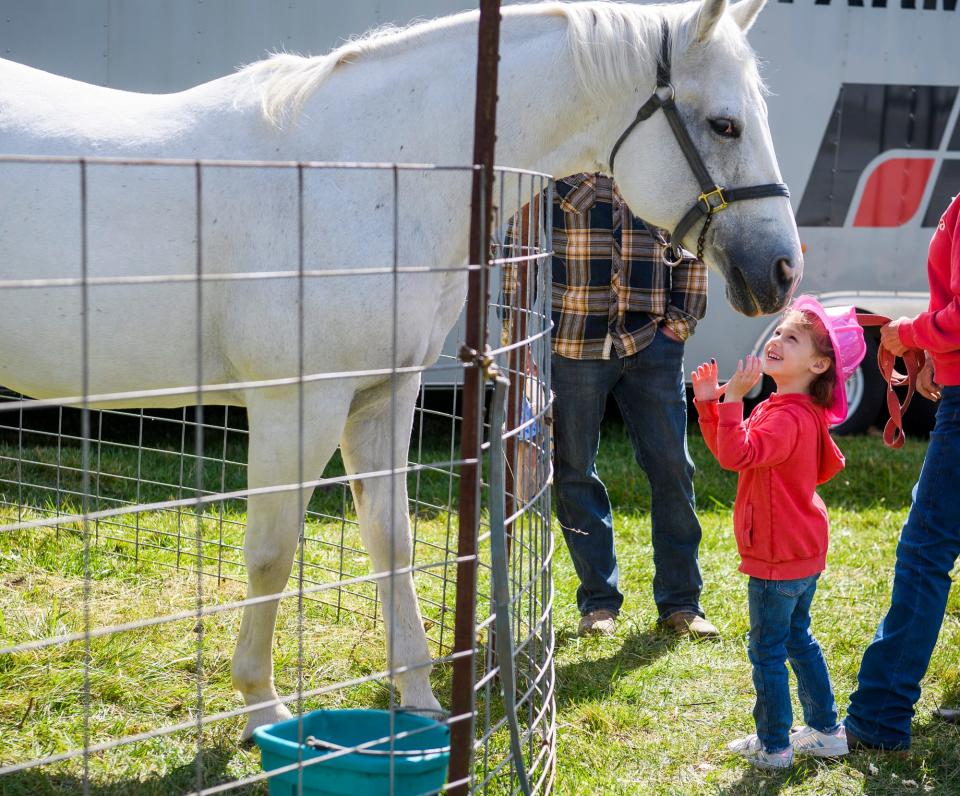 Kaia Carter, 4, gets up close and personal with Chubby during Children's Farm Festival at Peden Farm on Thursday, Sept. 29, 2022.