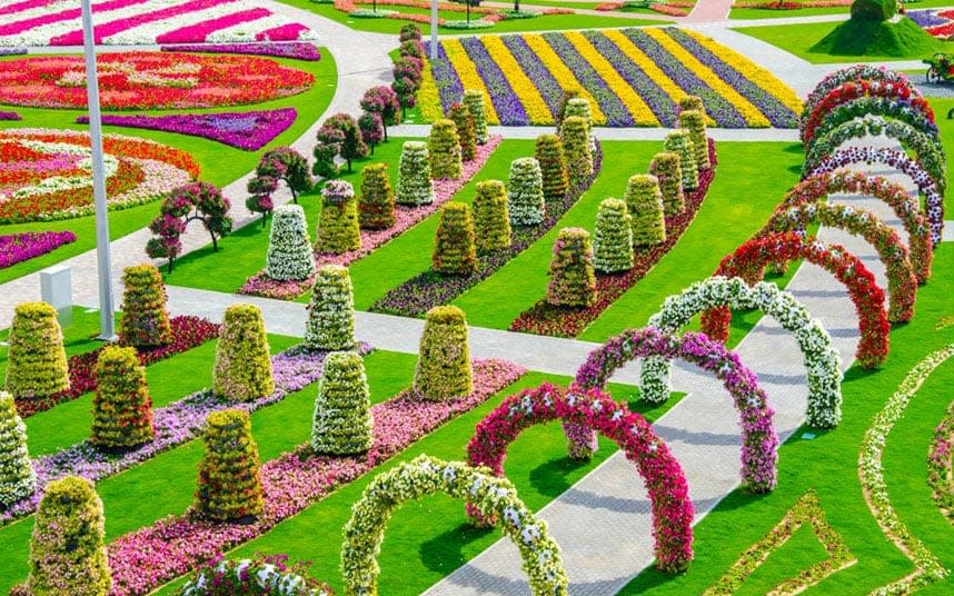 Dubai Miracle Garden, UAE