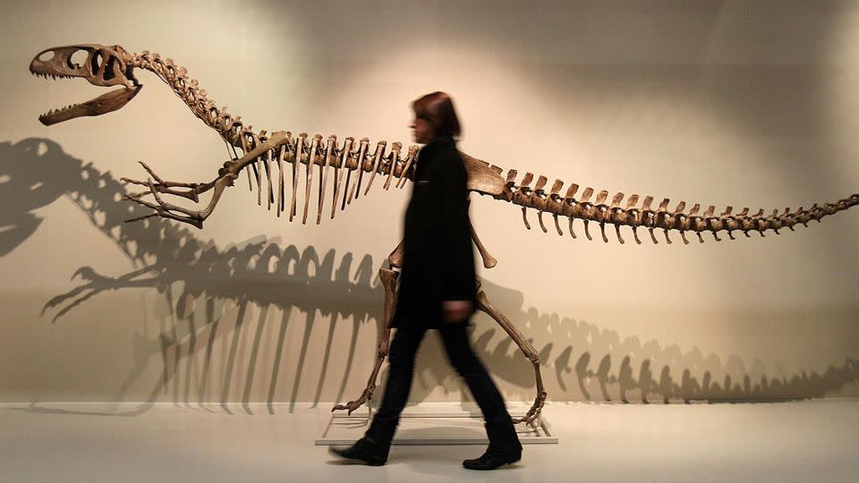 Today, paleontologists believe that Megalosaurus walked on two legs.  - Julien Behal/PA Wire/AP