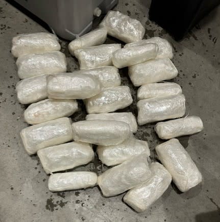 Drugs found inside an ice chest full of fish. (U.S. Customs and Border Protection)