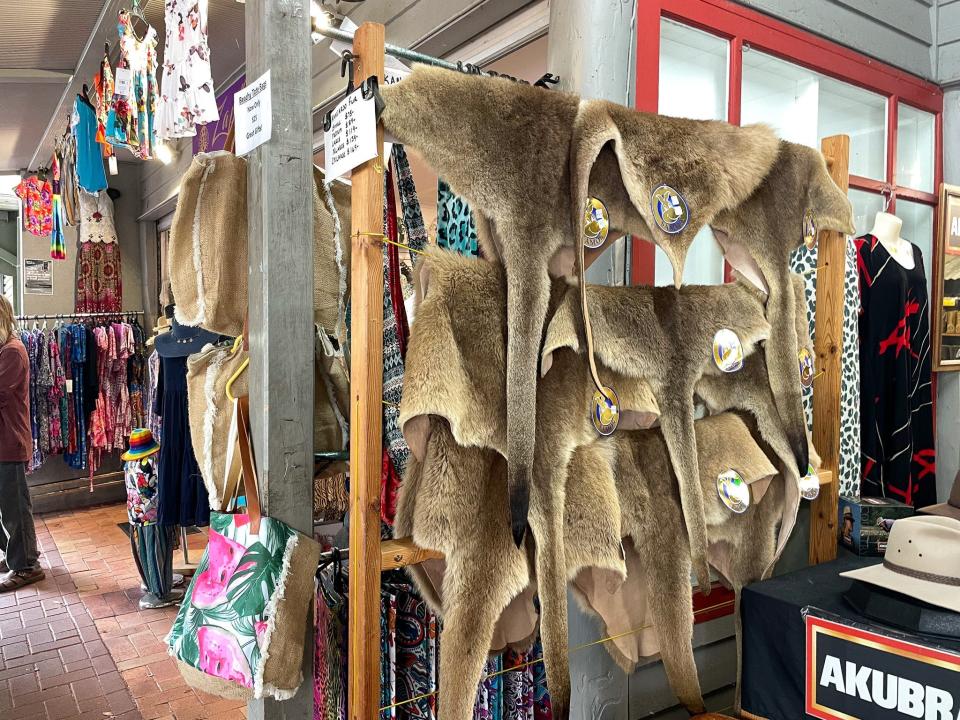 Kangaroo skins at a tourist shop in Kuranda, Australia.