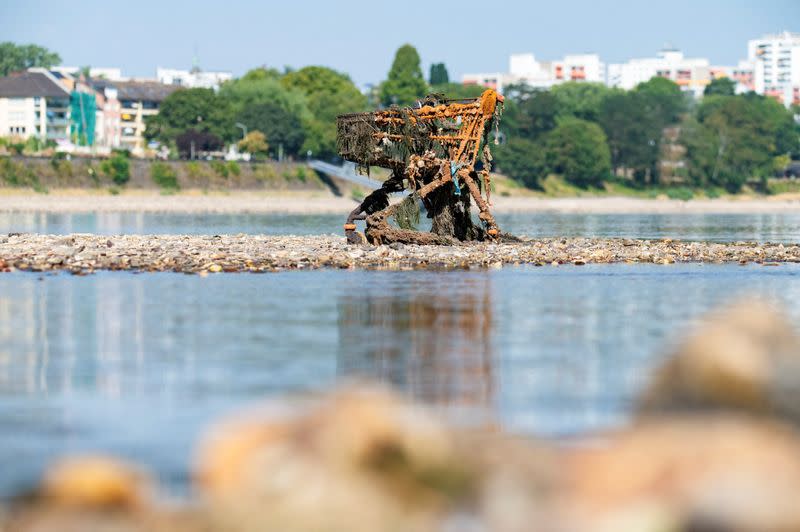 FILE PHOTO: Drought means low water levels in Rhine