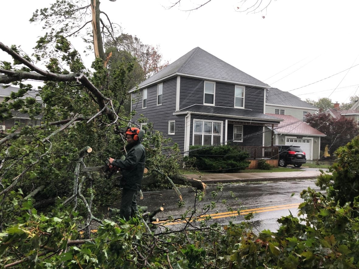 A contractor uses a chainsaw to clear a downed tree on a residential street in North Sydney, N.S. (Tom Ayers/CBC - image credit)