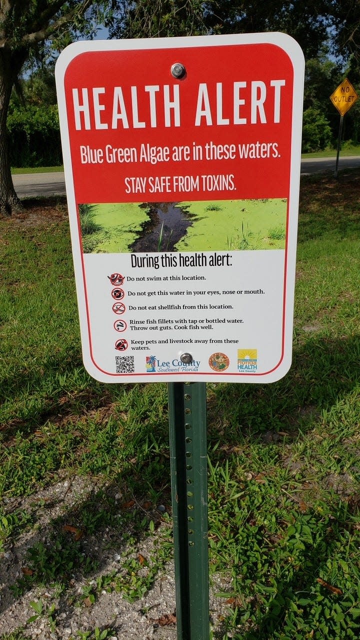 Health alert posted about the presence of blue-green algae.