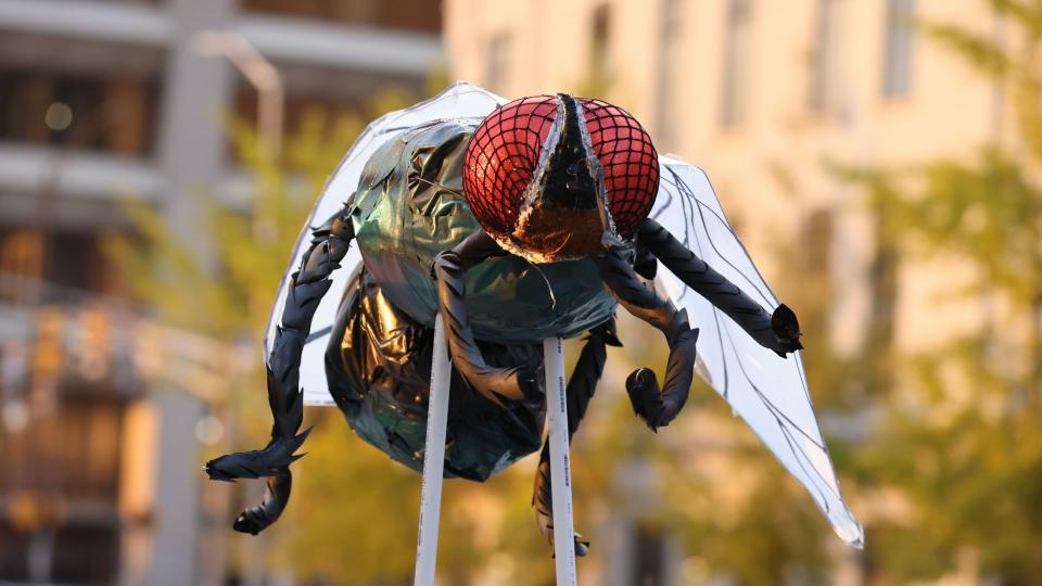 Mandatory Credit: Photo by JUSTIN CASTERLINE/EPA-EFE/Shutterstock (10971995ac)A giant fly is seen as people protest outside the Marion County Clerk's Office where US Vice President Mike Pence and Second Lady Karen Pence vote in the US presidential election in Indianapolis, Indiana, USA, 23 October 2020.