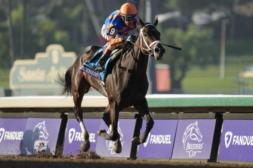 Fierceness longshot odds to take victory in Breeders' Cup