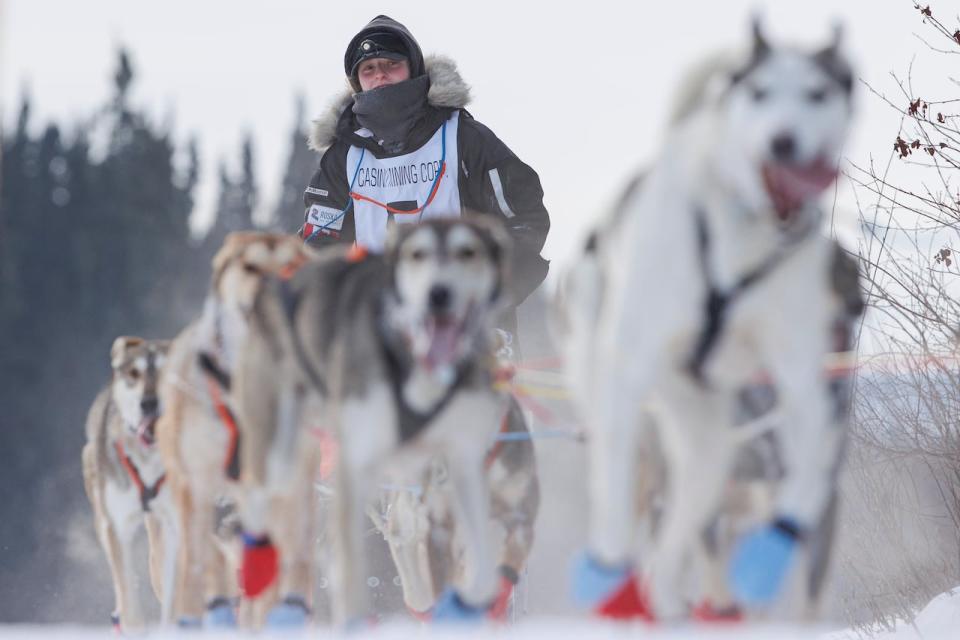 Musher Mayla Hill leaveS Whitehorse at the start of the 2023 Yukon Quest dog sled race on Feb. 11, 2023.