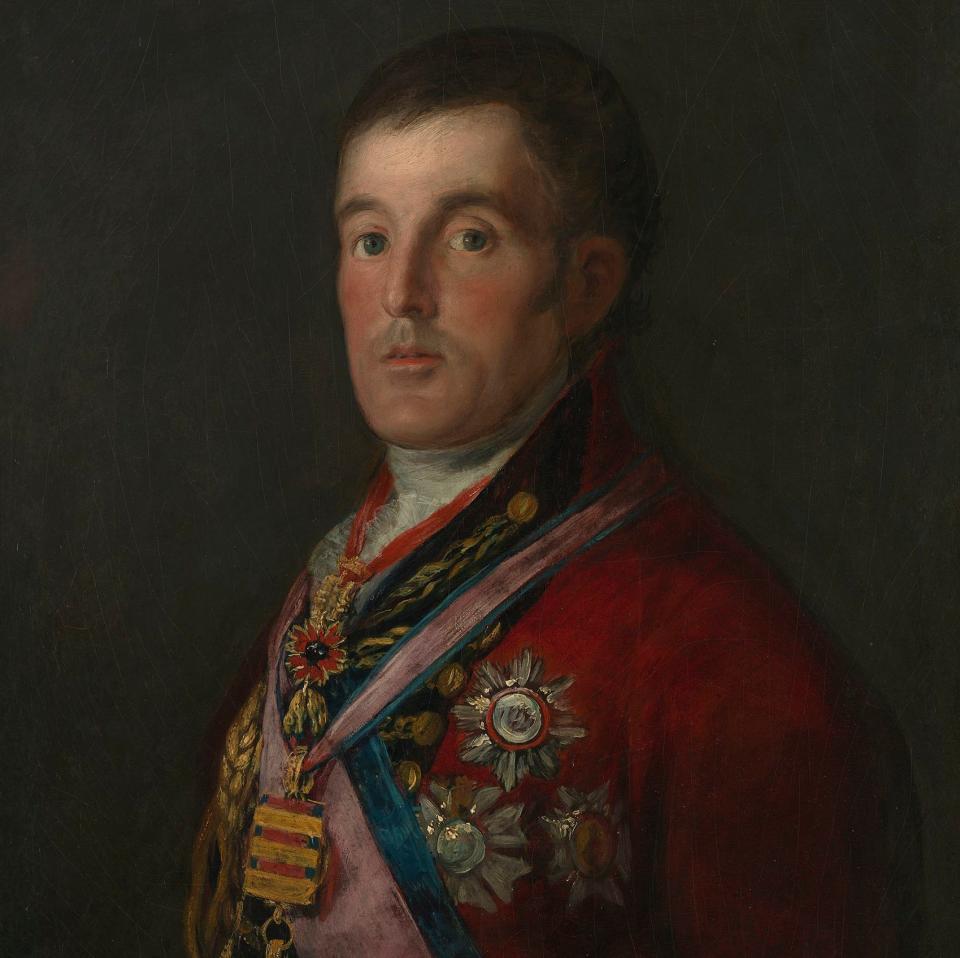 Francisco Goya's portrait of the Duke of Wellington - PA