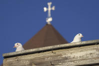 Pigeons sit on the roof in Stepanakert, in the separatist region of Nagorno-Karabakh, Friday, Oct. 30, 2020. The Azerbaijani army has closed in on a key town in the separatist territory of Nagorno-Karabakh following more than a month of intense fighting. (AP Photo)