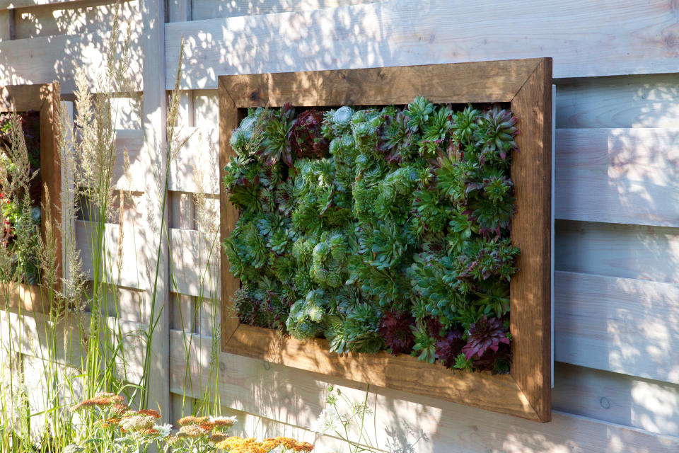 12. Make a vertical succulent frame