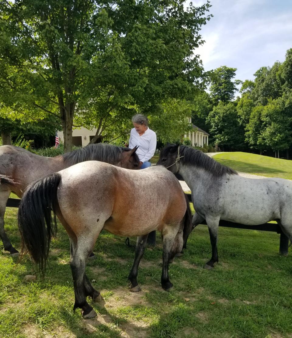 Kathryn King communicates with three of her Nokota healing horses on her Valhalla Hill Farm near Alexandria.