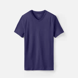 <p><a href="https://go.redirectingat.com?id=74968X1596630&url=https%3A%2F%2Funboundmerino.com%2Fproducts%2Fmerino-wool-v-neck-t-shirt%3Fvariant%3D13015946133598%26currency%3DUSD%26nbt%3Dnb%253Aadwords%253Ax%253A16630677016%253A%253A%26nb_adtype%3Dpla%26nb_mi%3D118003895%26nb_pc%3Donline%26nb_pi%3Dshopify_US_1480975548510_13015946133598%26wickedsource%3Dgoogle%26wdevice%3Dc%26wtm_campaign%3D16630677016%26gad_source%3D4%26gclid%3DCjwKCAjw_LOwBhBFEiwAmSEQAW9_iXzucV6HxamSO0cpcT4lu7FaQ5qKIe4ATptpS-ZgPV3hYnqrhRoCOhkQAvD_BwE&sref=https%3A%2F%2Fwww.esquire.com%2Fstyle%2Fmens-fashion%2Fg32734723%2Fbest-v-neck-t-shirts%2F" rel="nofollow noopener" target="_blank" data-ylk="slk:Shop Now;elm:context_link;itc:0;sec:content-canvas" class="link rapid-noclick-resp">Shop Now</a></p><p>Men's Merino V-Neck T-Shirt</p><p>unboundmerino.com</p><p>$88.00</p>