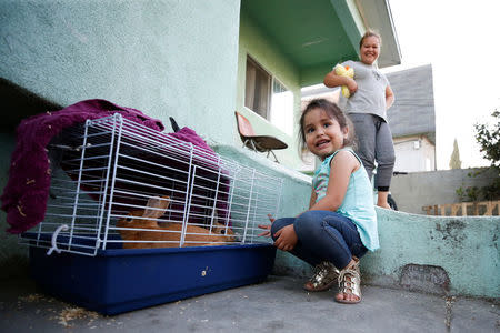 Three-year old Kendra Nicole Rojas, plays with pet bunnies at her uncle's home where she and her mother Karla Rojas, 26, (R) used to live but moved out after lead paint was found in the home in the Historic South Central neighborhood of Los Angeles, California, United States April 5, 2017. REUTERS/Danny Moloshok