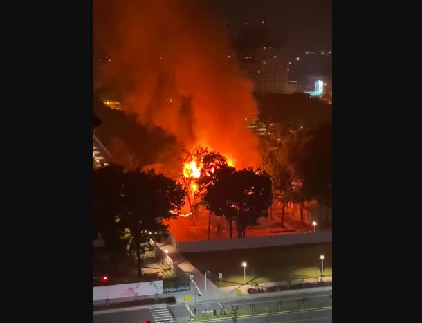 ▲屏東榮總旁空地，今天凌晨發生火警。（圖／翻攝爆料公社）