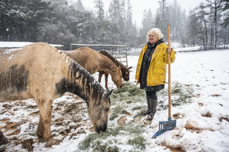 Claudia Booth tends to her horses as snow falls on Tuesday, Feb. 28, 2023, near Colfax, Calif. Beleaguered Californians are being hit again by a new winter storm in the already snow-plastered state. Blizzard warnings blanketed the Sierra Nevada on Tuesday, and forecasters warned travel was dangerous. (Hector Amezcua/The Sacramento Bee via AP)