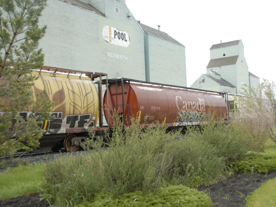  A train hauling grain in Alberta.