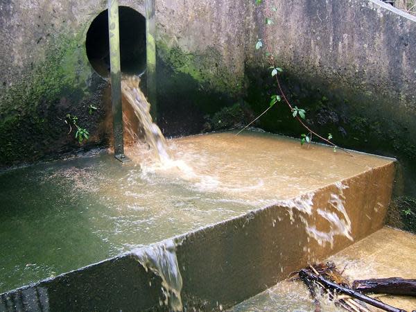 Bradford’s Beck is reportedly teeming with curry (SWNS)