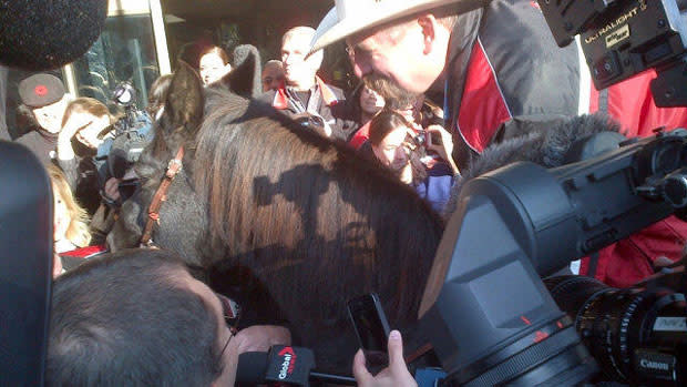 Marty the horse braves throngs of reporters as he tries to enter the Fairmont Royal York Hotel on Front Street West in downtown Toronto. 