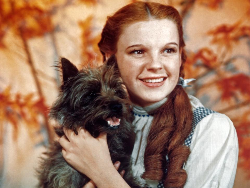 Judy Garland as Dorothy in “The Wizard of Oz”