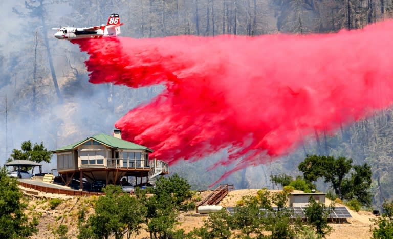 Miles de bomberos en California batallan casi veinte incendios forestales que arden en diversas áreas del estado bajo una grave ola de calor (JOSH EDELSON)