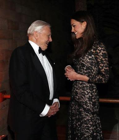 Catherine, the Duchess of Cambridge, meets British naturalist David Attenborough before the screening of "David Attenborough's Natural History Museum Alive 3D" at the Natural History Museum in London December 11, 2013. REUTERS/Suzanne Plunkett