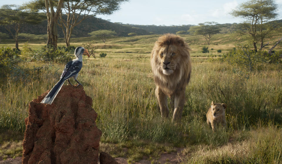 Mufasa leads Simba on a tour of the Pride Lands in 'The Lion King' (Photo: Disney Enterprises, Inc.)