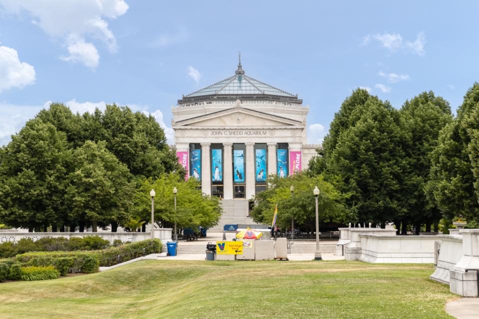 The Shedd Aquarium in Chicago via Getty Images