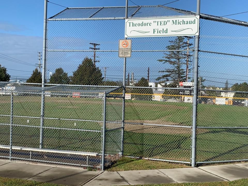 The Theodore "Ted" Michaud Field at Abbruzzi Park could remain where it is if a skatepark is built at another recreational facility in the city.