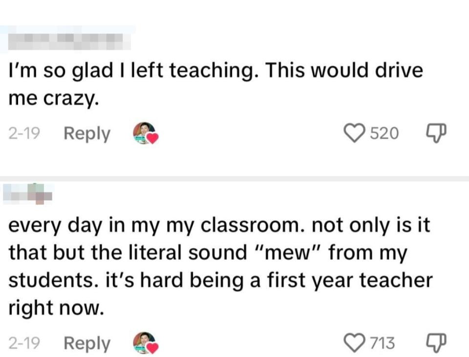 Two blurred user comments on a social media platform discussing the challenges of teaching