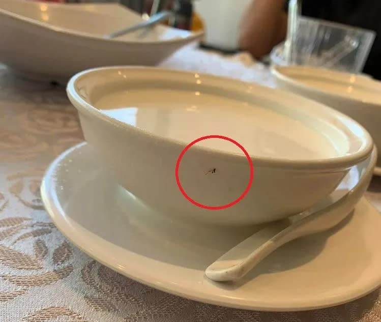 <strong>之後餐廳送來的西米露碗上也有疑似蟑螂腳痕跡。（圖／翻攝自爆料公社網站）</strong>