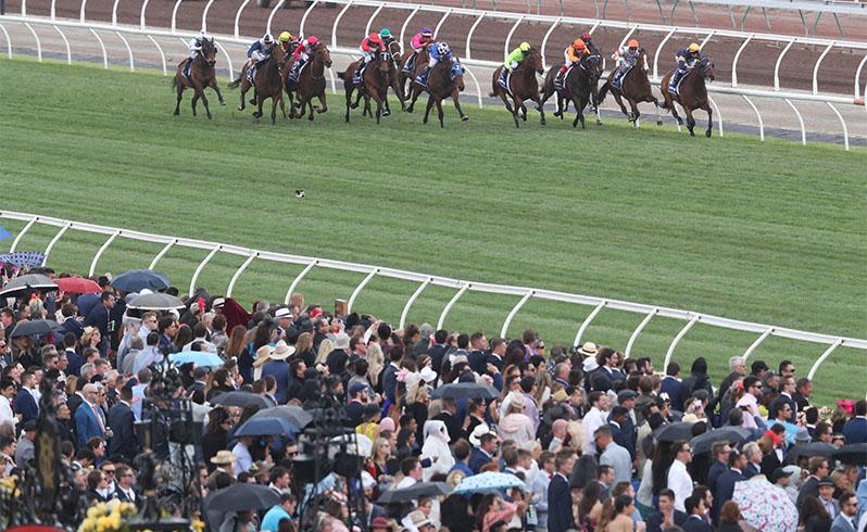 <p>Pictured: Punters brave wild weather as Melbourne Cup festivities get underway</p>