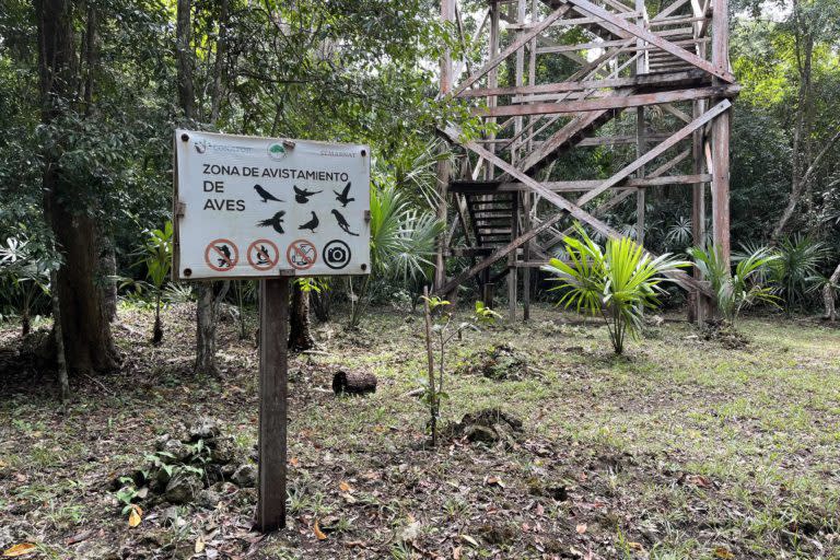 El avistamiento de aves es una de las actividades que se pueden realizar en el ejido. Foto: Juan Mayorga.