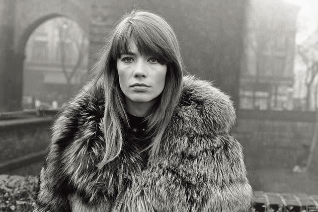 <p>Mondadori via Getty</p> Françoise Hardy