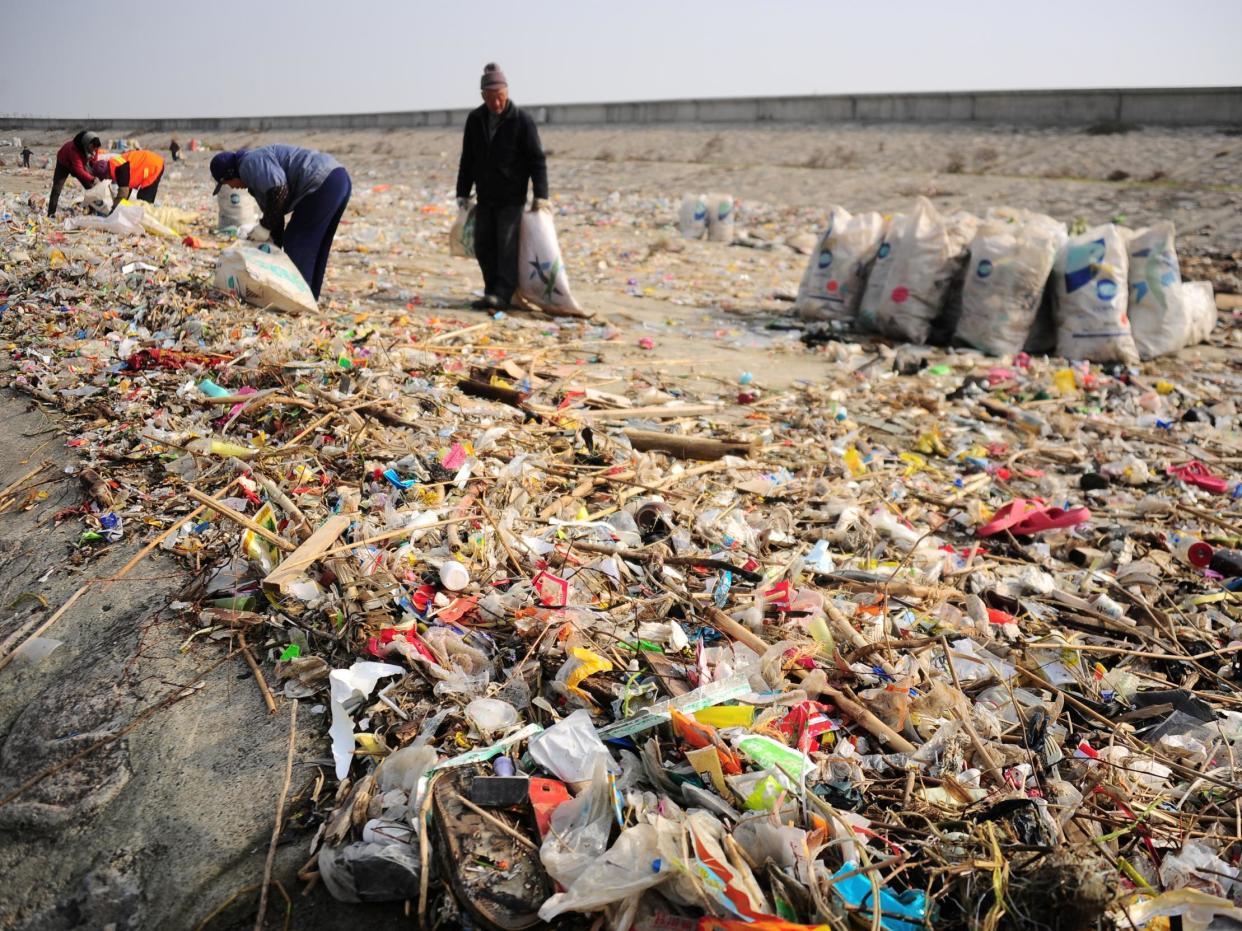 Workers clear rubbish from the bank of Yangtze river in Taicang, in China's Jiangsu province: Reuters